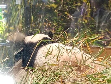 恩賜上野動物園に投稿された画像（2026/1/20）