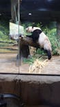 恩賜上野動物園に投稿された画像（2026/1/21）