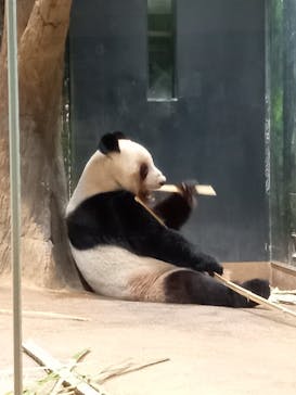 恩賜上野動物園に投稿された画像（2026/1/20）