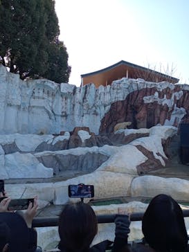恩賜上野動物園に投稿された画像（2026/1/20）