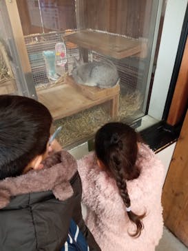 恩賜上野動物園に投稿された画像（2026/1/20）