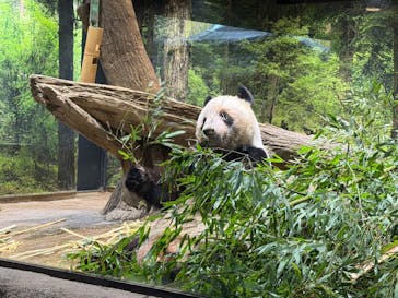 恩賜上野動物園に投稿された画像（2026/1/21）