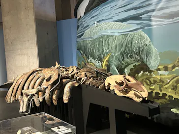 特別展「大絶滅展―生命史のビッグファイブ」に投稿された画像（2026/1/21）