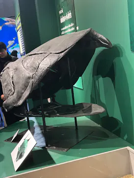 特別展「大絶滅展―生命史のビッグファイブ」に投稿された画像（2026/1/21）