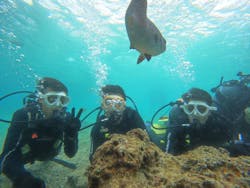 沖縄マリンサービス碧に投稿された画像（2026/1/21）