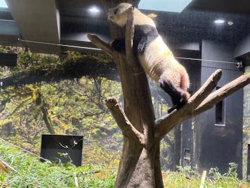 恩賜上野動物園に投稿された画像（2026/1/21）