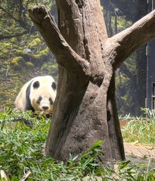 恩賜上野動物園に投稿された画像（2026/1/21）