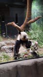 恩賜上野動物園に投稿された画像（2026/1/21）