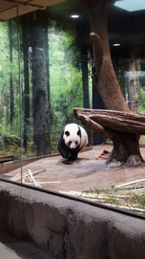 恩賜上野動物園に投稿された画像（2026/1/21）