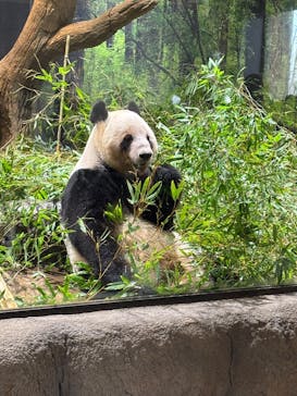 恩賜上野動物園に投稿された画像（2026/1/21）
