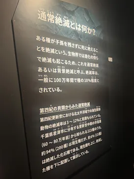 特別展「大絶滅展―生命史のビッグファイブ」に投稿された画像（2026/1/21）