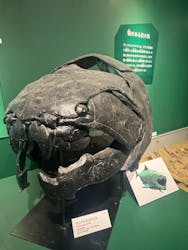 特別展「大絶滅展―生命史のビッグファイブ」に投稿された画像（2026/1/21）