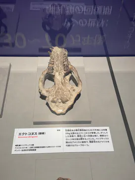特別展「大絶滅展―生命史のビッグファイブ」に投稿された画像（2026/1/21）