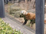 恩賜上野動物園に投稿された画像（2026/1/21）