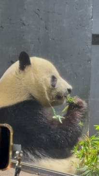 恩賜上野動物園に投稿された画像（2026/1/21）