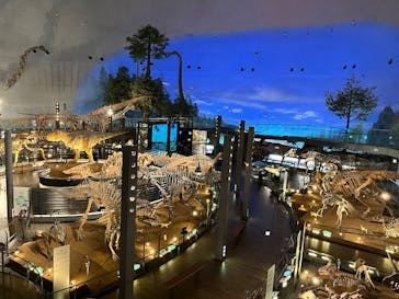 福井県立恐竜博物館に投稿された画像（2026/1/21）