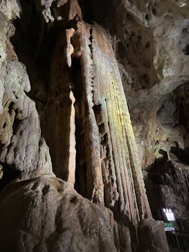 秋芳洞に投稿された画像（2026/1/21）