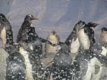 名古屋港水族館に投稿された画像（2026/1/21）