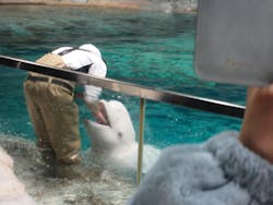 名古屋港水族館に投稿された画像（2026/1/21）