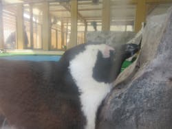 名古屋港水族館に投稿された画像（2026/1/21）