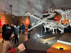 特別展「大絶滅展―生命史のビッグファイブ」に投稿された画像（2026/1/21）