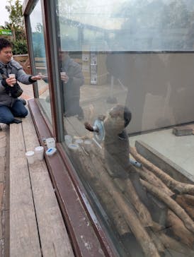 横浜・八景島シーパラダイスに投稿された画像（2026/1/21）