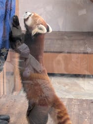 横浜・八景島シーパラダイスに投稿された画像（2026/1/21）