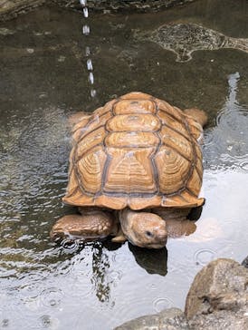 横浜・八景島シーパラダイスに投稿された画像（2026/1/21）