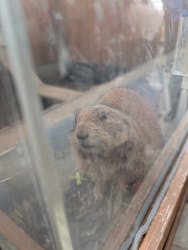 横浜・八景島シーパラダイスに投稿された画像（2026/1/21）