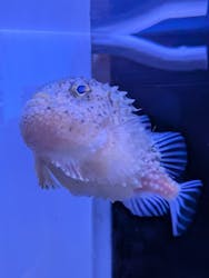 横浜・八景島シーパラダイスに投稿された画像（2026/1/21）