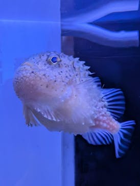 横浜・八景島シーパラダイスに投稿された画像（2026/1/21）