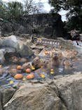 伊豆シャボテン動物公園に投稿された画像（2026/1/21）
