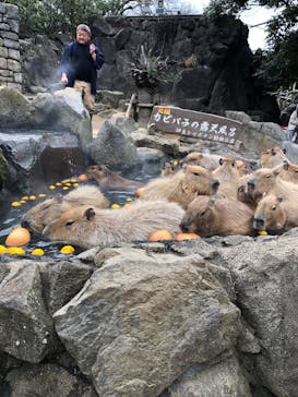 伊豆シャボテン動物公園に投稿された画像（2026/1/21）
