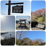 下田ロープウェイに投稿された画像（2026/1/21）