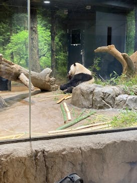 恩賜上野動物園に投稿された画像（2026/1/21）