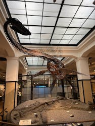 国立科学博物館に投稿された画像（2026/1/21）