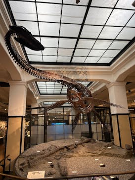 国立科学博物館に投稿された画像（2026/1/21）