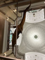 国立科学博物館に投稿された画像（2026/1/21）