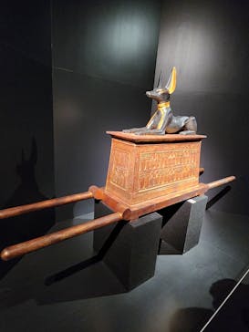 MYSTERY OF TUTANKHAMEN 体感型古代エジプト展に投稿された画像（2026/1/21）