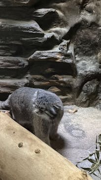 恩賜上野動物園に投稿された画像（2026/1/21）