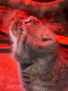 恩賜上野動物園に投稿された画像（2026/1/21）