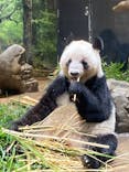 恩賜上野動物園に投稿された画像（2026/1/21）
