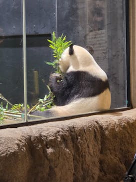 恩賜上野動物園に投稿された画像（2026/1/21）