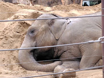 恩賜上野動物園に投稿された画像（2026/1/21）