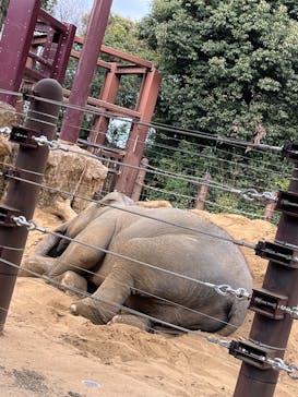 恩賜上野動物園に投稿された画像（2026/1/21）