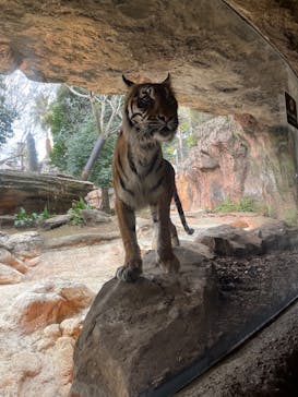 恩賜上野動物園に投稿された画像（2026/1/21）