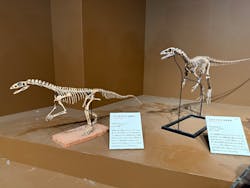 特別展「大絶滅展―生命史のビッグファイブ」に投稿された画像（2026/1/21）