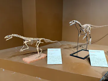 特別展「大絶滅展―生命史のビッグファイブ」に投稿された画像（2026/1/21）