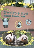 恩賜上野動物園に投稿された画像（2026/1/21）