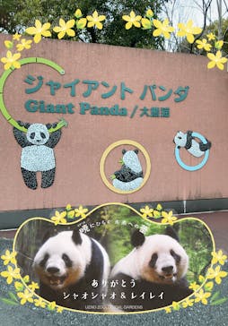 恩賜上野動物園に投稿された画像（2026/1/21）